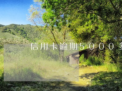 信用卡逾期5000多不多 信用卡逾期5000多不多