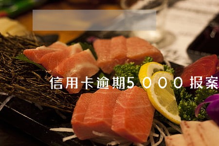 信用卡逾期5000报案 信用卡逾期5000报案