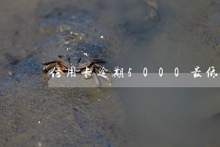 信用卡逾期5000最低还款 信用卡逾期5000最低还款