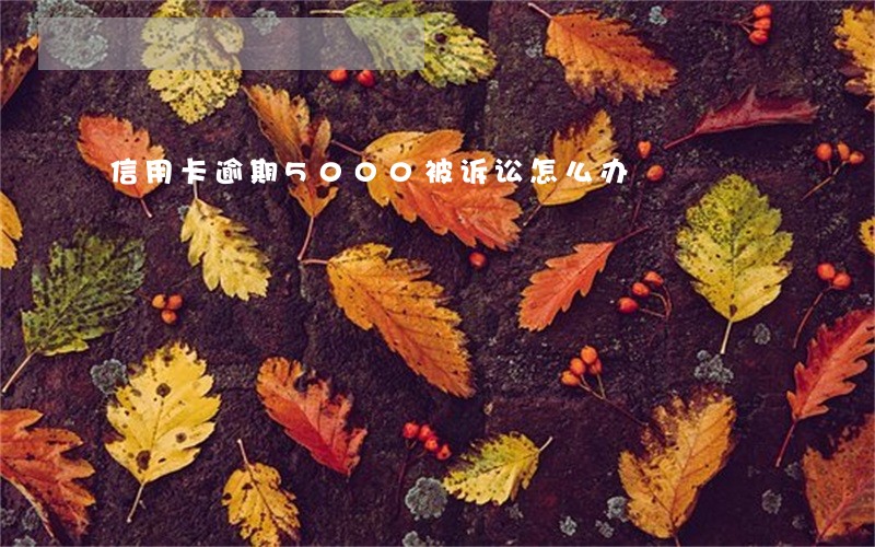 信用卡逾期5000被诉讼怎么办 信用卡逾期5000被诉讼怎么办