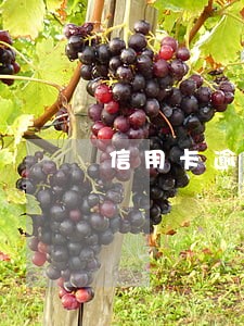 信用卡逾期5000要坐牢吗