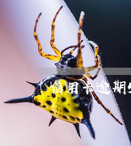信用卡逾期5000账单