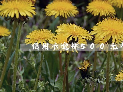 信用卡逾期500元两年还多少钱