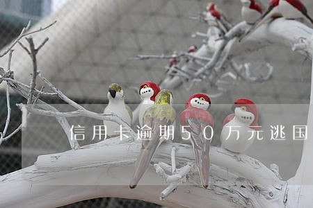 信用卡逾期50万元逃国外