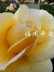 信用卡逾期50万未还款 信用卡逾期50万未还款