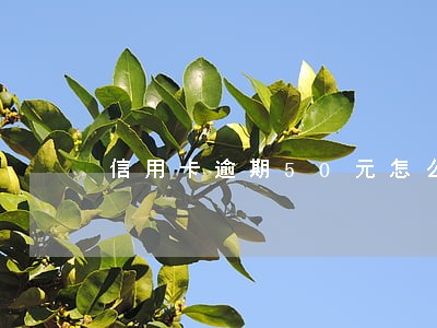 信用卡逾期50元怎么办 信用卡逾期50元怎么办