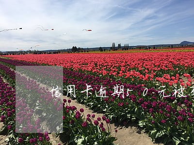 信用卡逾期50元被列入黑名单
