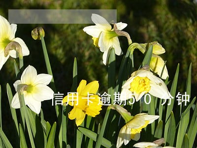 信用卡逾期50分钟 信用卡逾期50分钟
