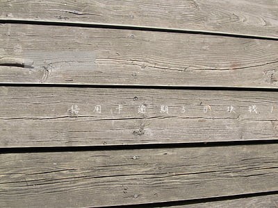 信用卡逾期50块钱10天 信用卡逾期50块钱10天