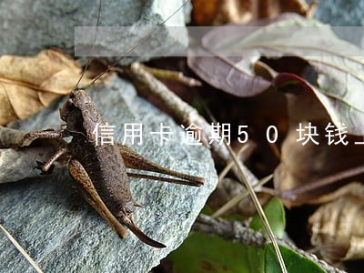 信用卡逾期50块钱上征信 信用卡逾期50块钱上征信