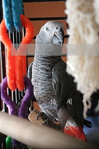 信用卡逾期50多块