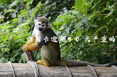 信用卡逾期50天严重吗 信用卡逾期50天严重吗