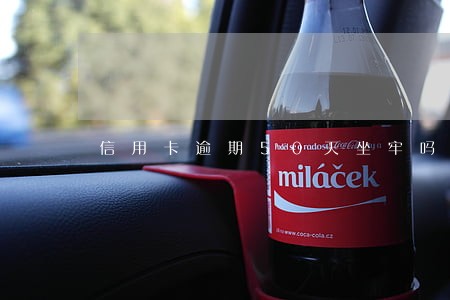 信用卡逾期50天坐牢吗