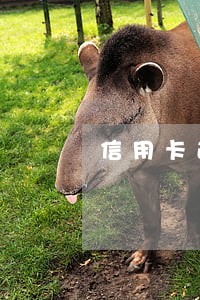 信用卡逾期52个月特别黑吗 信用卡逾期52个月特别黑吗