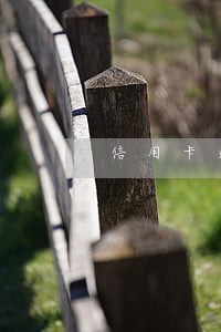 信用卡逾期52正常吗