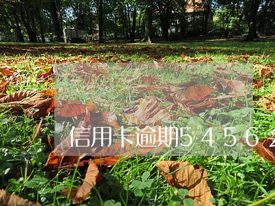 信用卡逾期5456会咋样 信用卡逾期5456会咋样