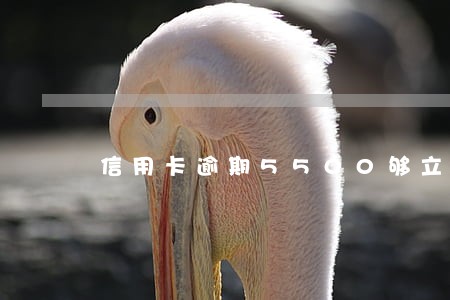 信用卡逾期5500够立案吗 信用卡逾期5500够立案吗