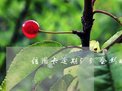 信用卡逾期55会影响大吗 信用卡逾期55会影响大吗