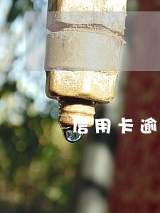 信用卡逾期57天怎么和银行协商 信用卡逾期57天怎么和银行协商