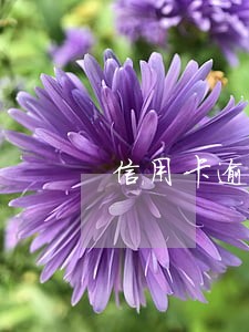 信用卡逾期580元