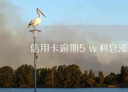 信用卡逾期5w利息涨到9万