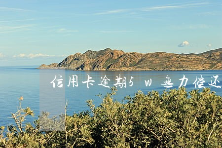 信用卡逾期5w无力偿还