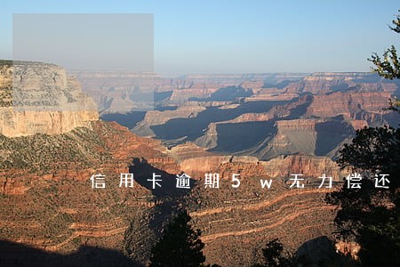 信用卡逾期5w无力偿还上海 信用卡逾期5w无力偿还上海
