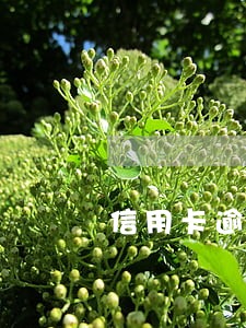 信用卡逾期5w月利息多少 信用卡逾期5w月利息多少