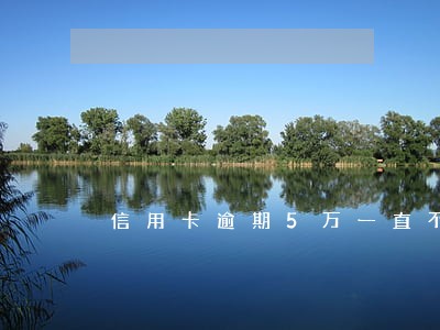 信用卡逾期5万一直不还 信用卡逾期5万一直不还