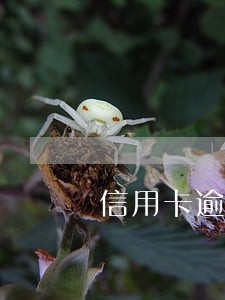 信用卡逾期5万临时2万 信用卡逾期5万临时2万