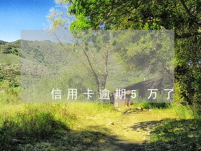 信用卡逾期5万了