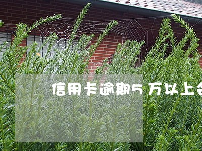 信用卡逾期5万以上会被传唤吗