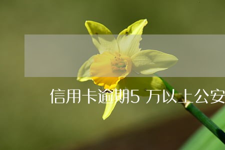信用卡逾期5万以上公安局介入