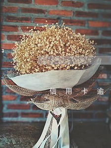 信用卡逾期5万以上报案了 信用卡逾期5万以上报案了