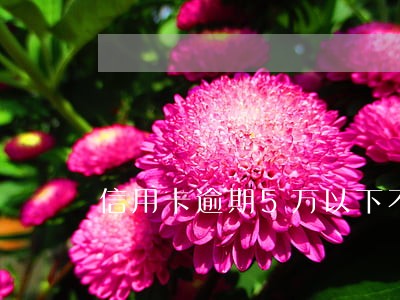 信用卡逾期5万以下不接电话 信用卡逾期5万以下不接电话