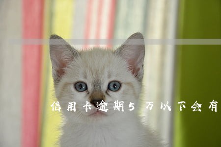 信用卡逾期5万以下会有什么后果 信用卡逾期5万以下会有什么后果