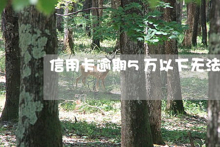 信用卡逾期5万以下无法立案 信用卡逾期5万以下无法立案