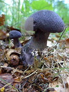 信用卡逾期5万以下每月还200 信用卡逾期5万以下每月还200
