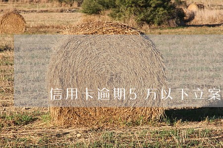 信用卡逾期5万以下立案的概率 信用卡逾期5万以下立案的概率