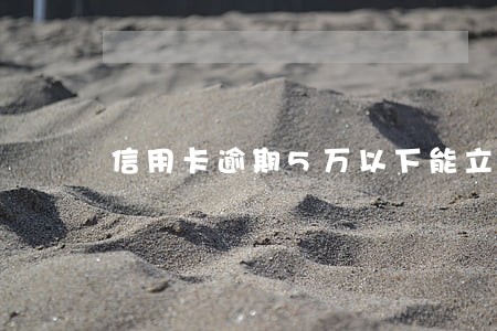 信用卡逾期5万以下能立案吗 信用卡逾期5万以下能立案吗