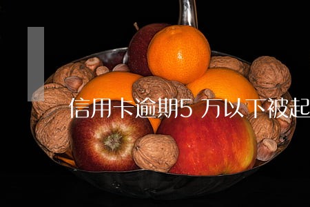 信用卡逾期5万以下被起诉
