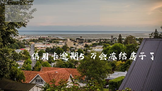 信用卡逾期5万会冻结房子了 信用卡逾期5万会冻结房子了