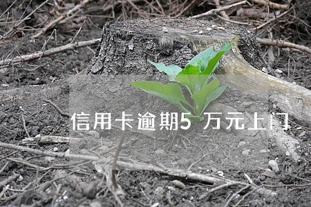 信用卡逾期5万元上门