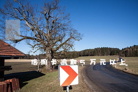 信用卡逾期5万元以上 信用卡逾期5万元以上