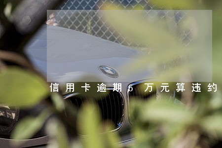 信用卡逾期5万元算违约金吗 信用卡逾期5万元算违约金吗
