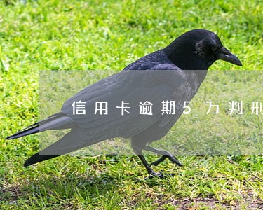 信用卡逾期5万判刑含花呗吗 信用卡逾期5万判刑含花呗吗