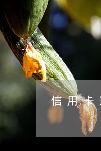 信用卡逾期5万半年后要还多少 信用卡逾期5万半年后要还多少