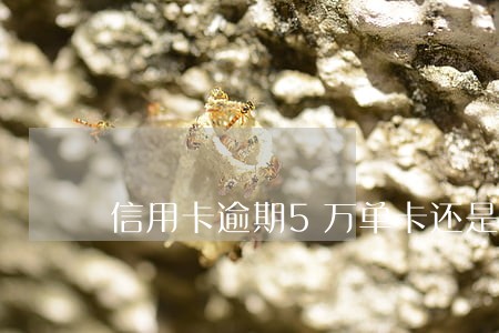 信用卡逾期5万单卡还是多卡 信用卡逾期5万单卡还是多卡