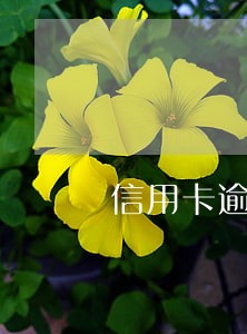 信用卡逾期5万家属有牵连吗 信用卡逾期5万家属有牵连吗