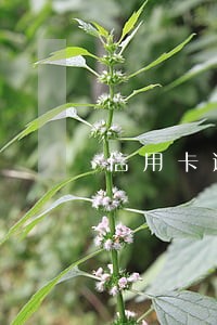 信用卡逾期5万怎么停息分期 信用卡逾期5万怎么停息分期